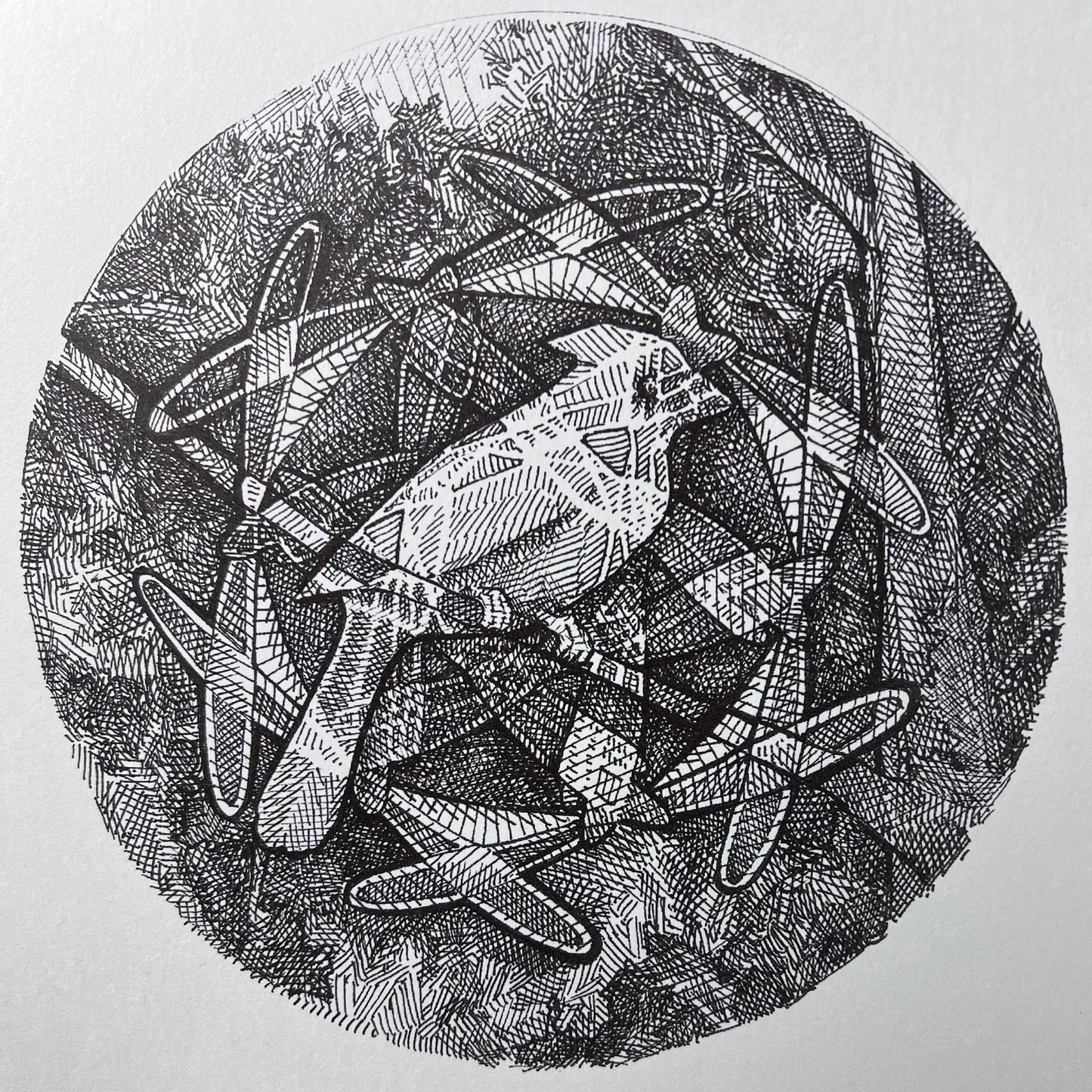 Spirograph Print- Cardinal