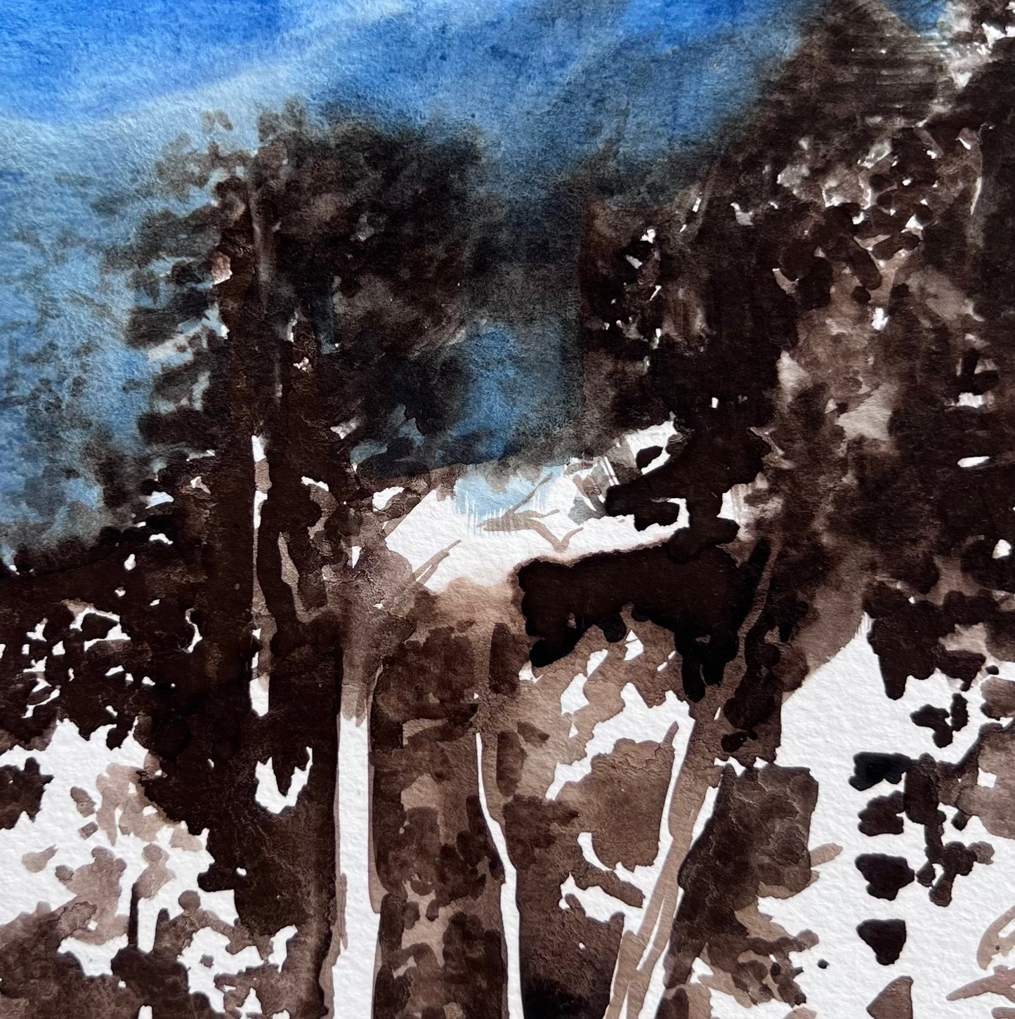 Midnight Lakeside Forest Plein Air II