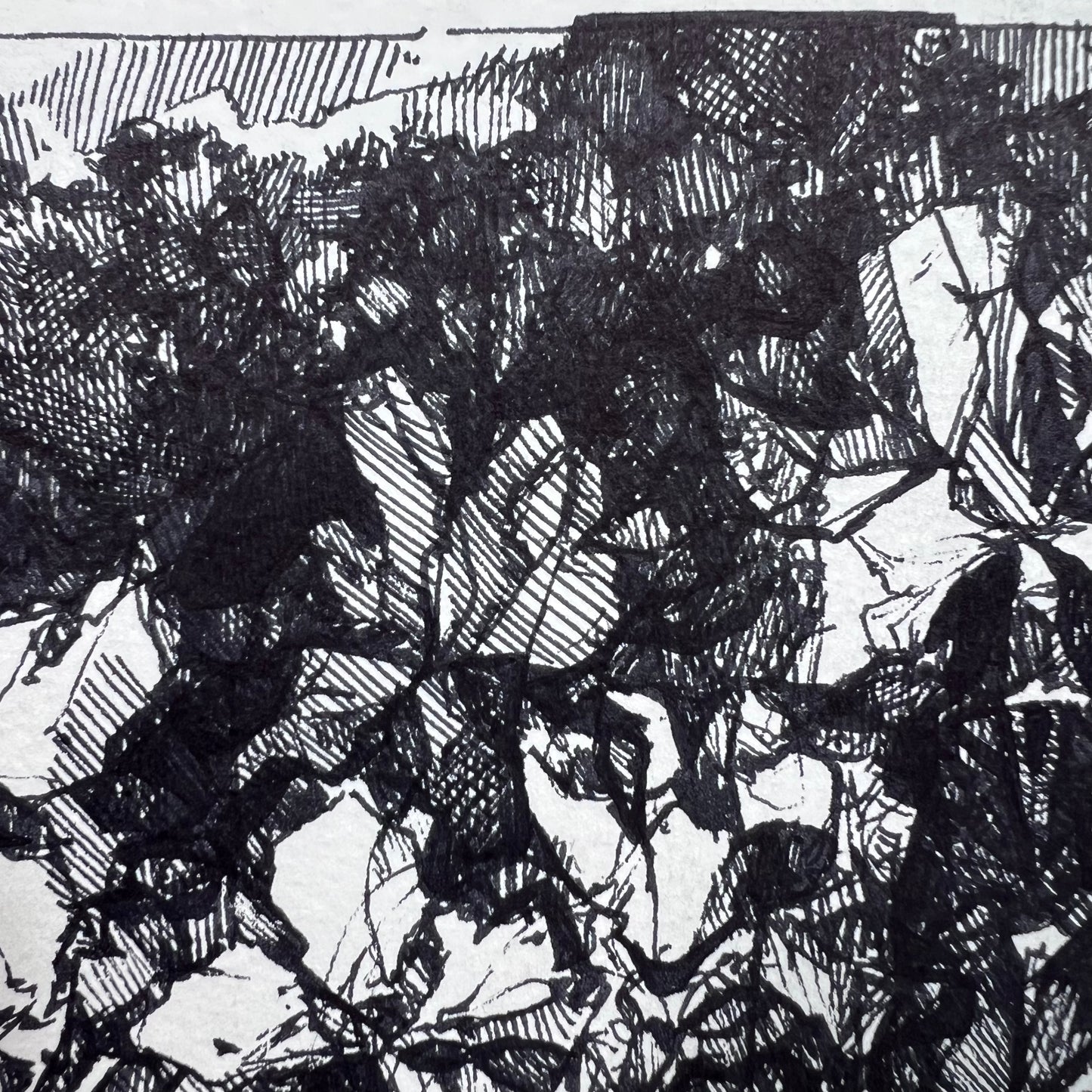 Floral Hatched Ink Illustration