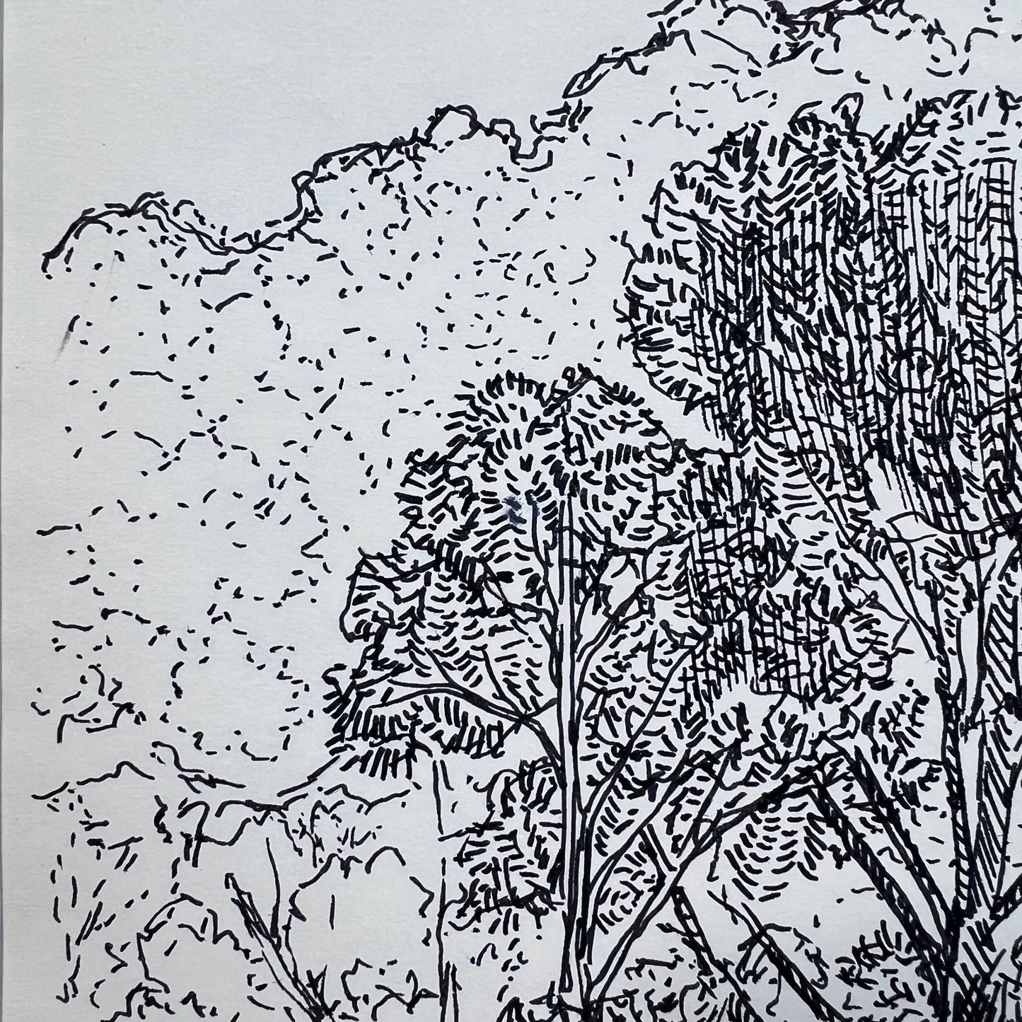 Appalachian Hills Ink Illustration