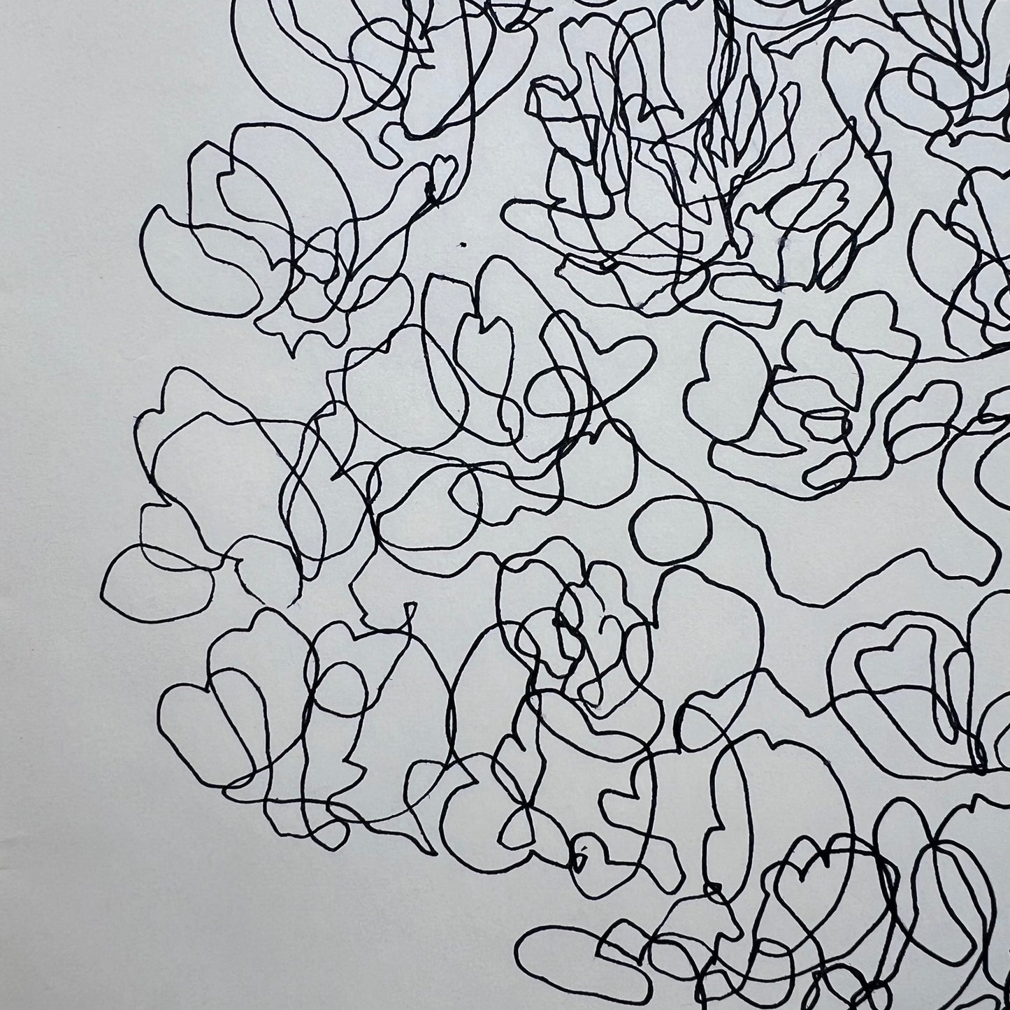 Flowing Floral Ink Illustration
