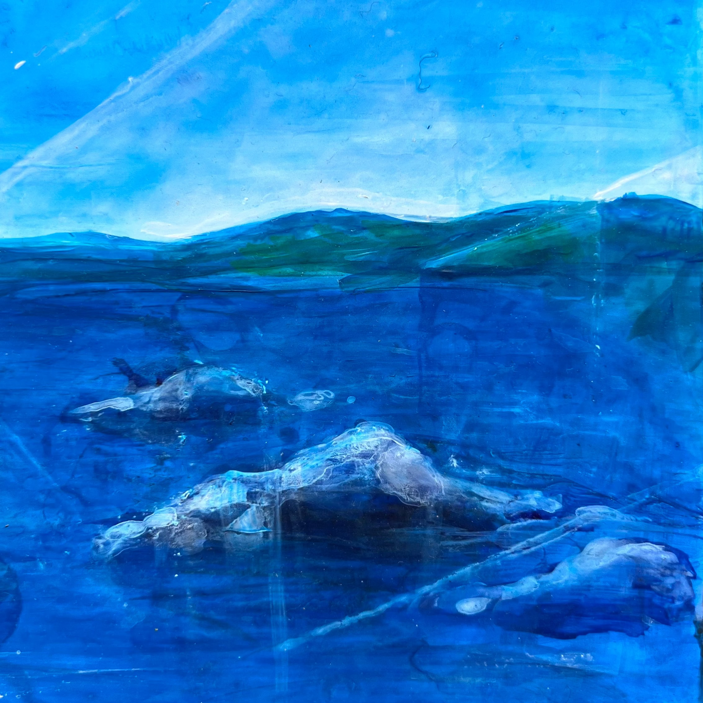 Tasmanian Coastal Landscape II