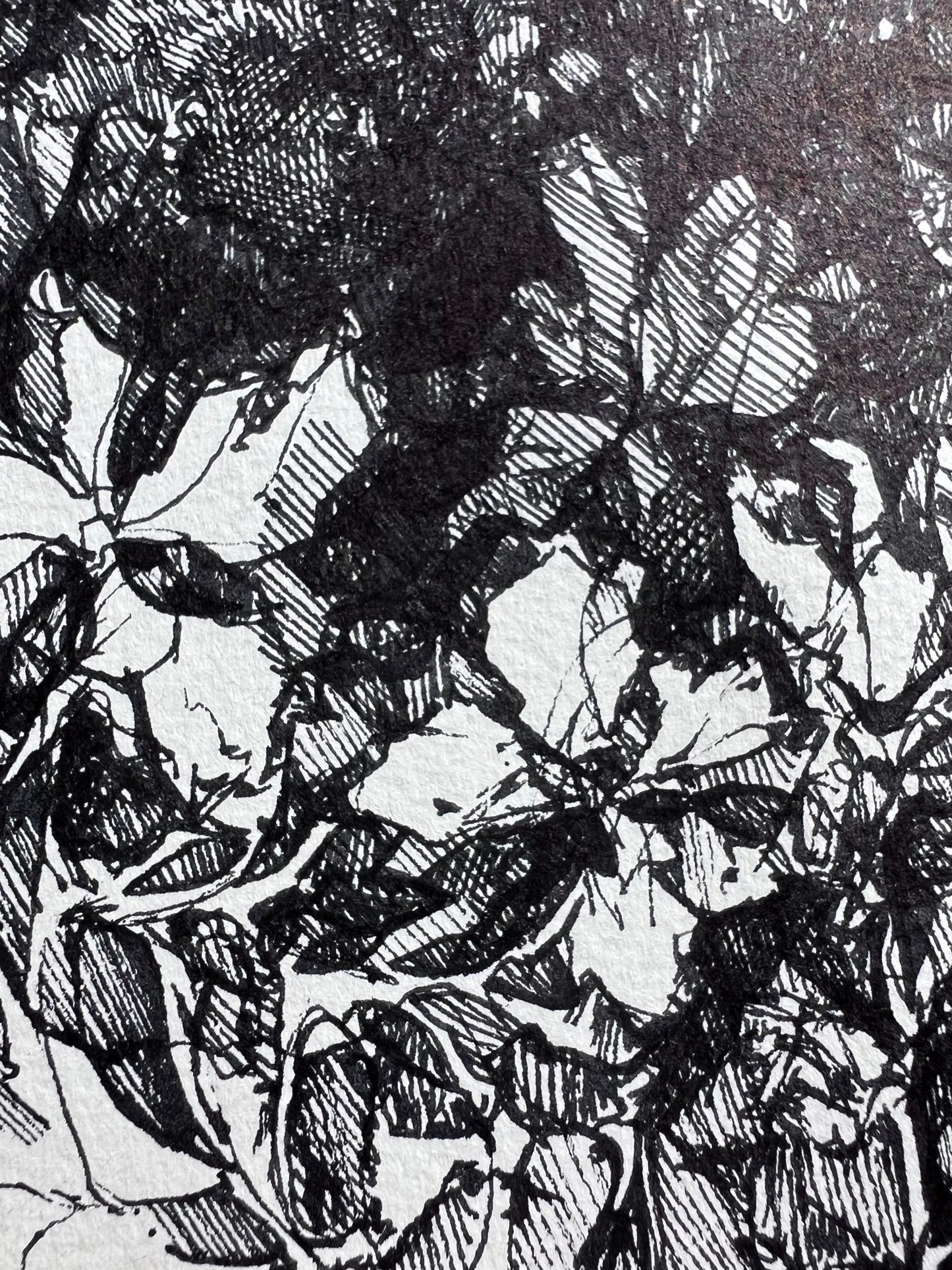 Inky Hatched Floral