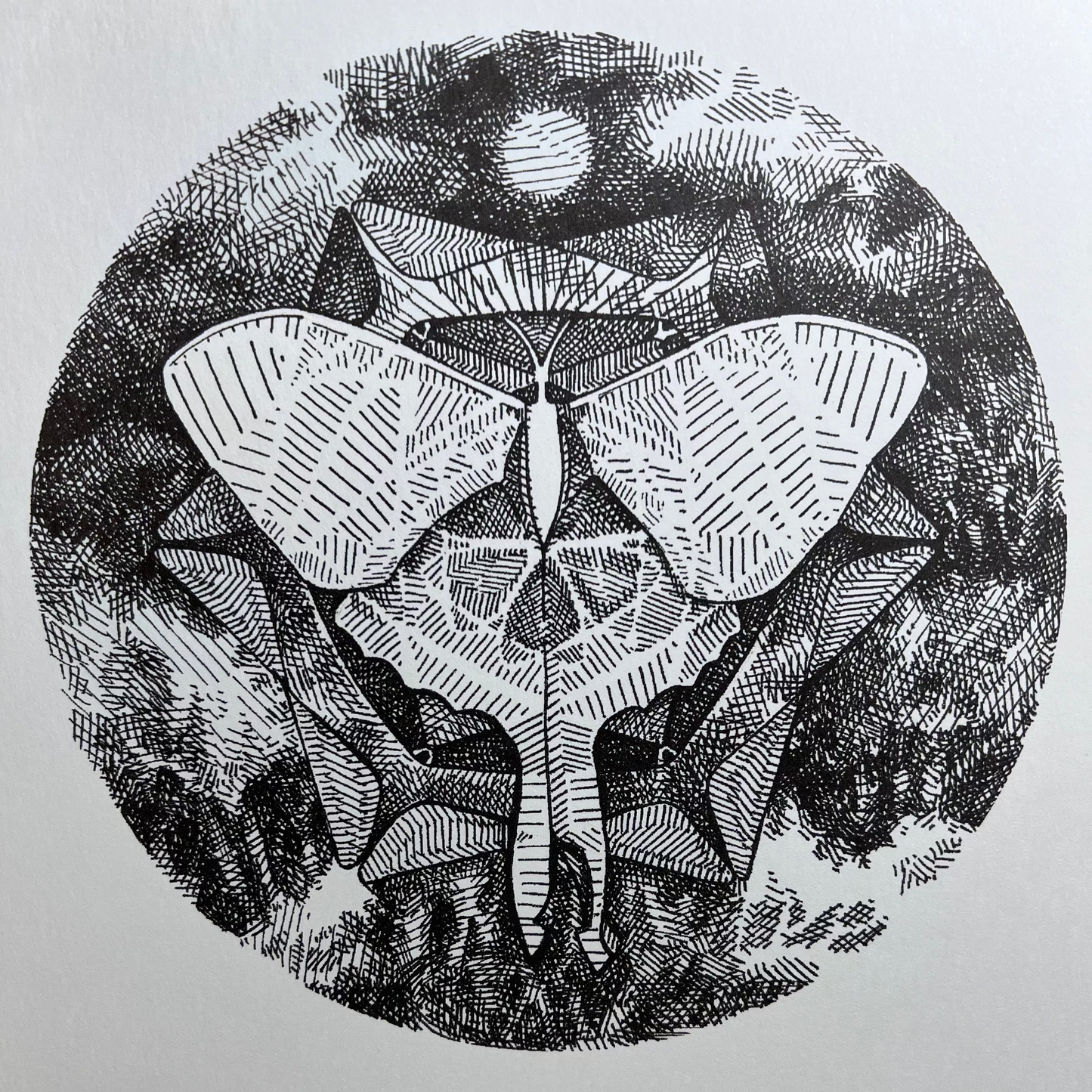 Spirograph Print- Luna Moth