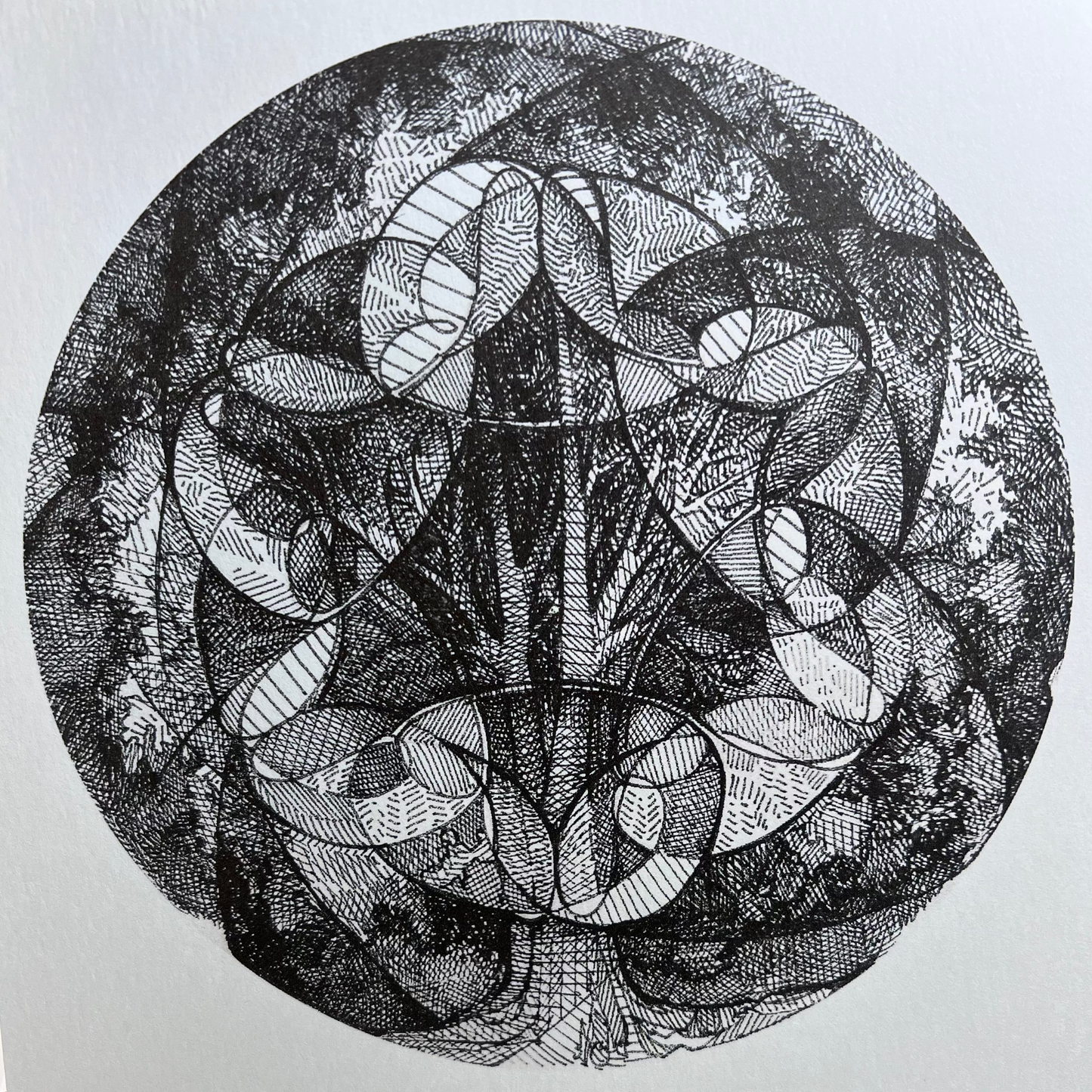 Spirograph Print- Tree