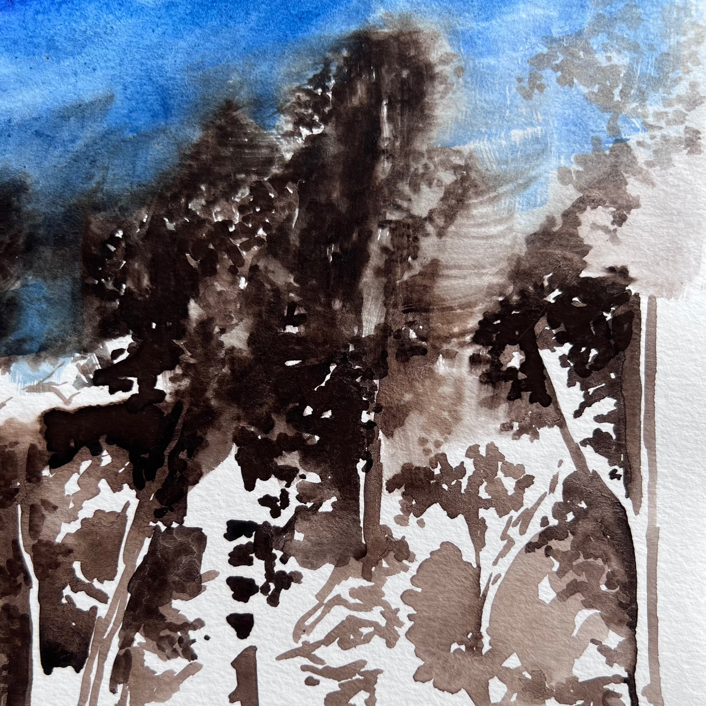 Midnight Lakeside Forest Plein Air II