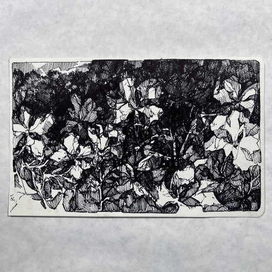 Floral Hatched Ink Illustration