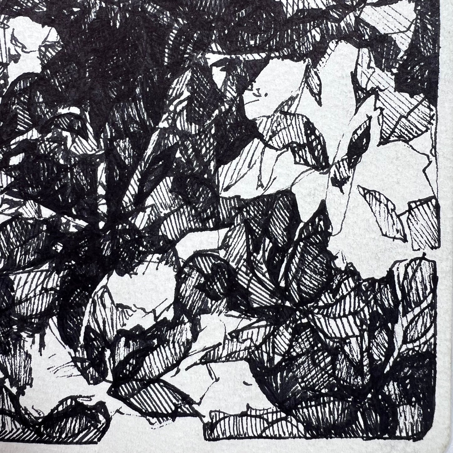 Floral Hatched Ink Illustration