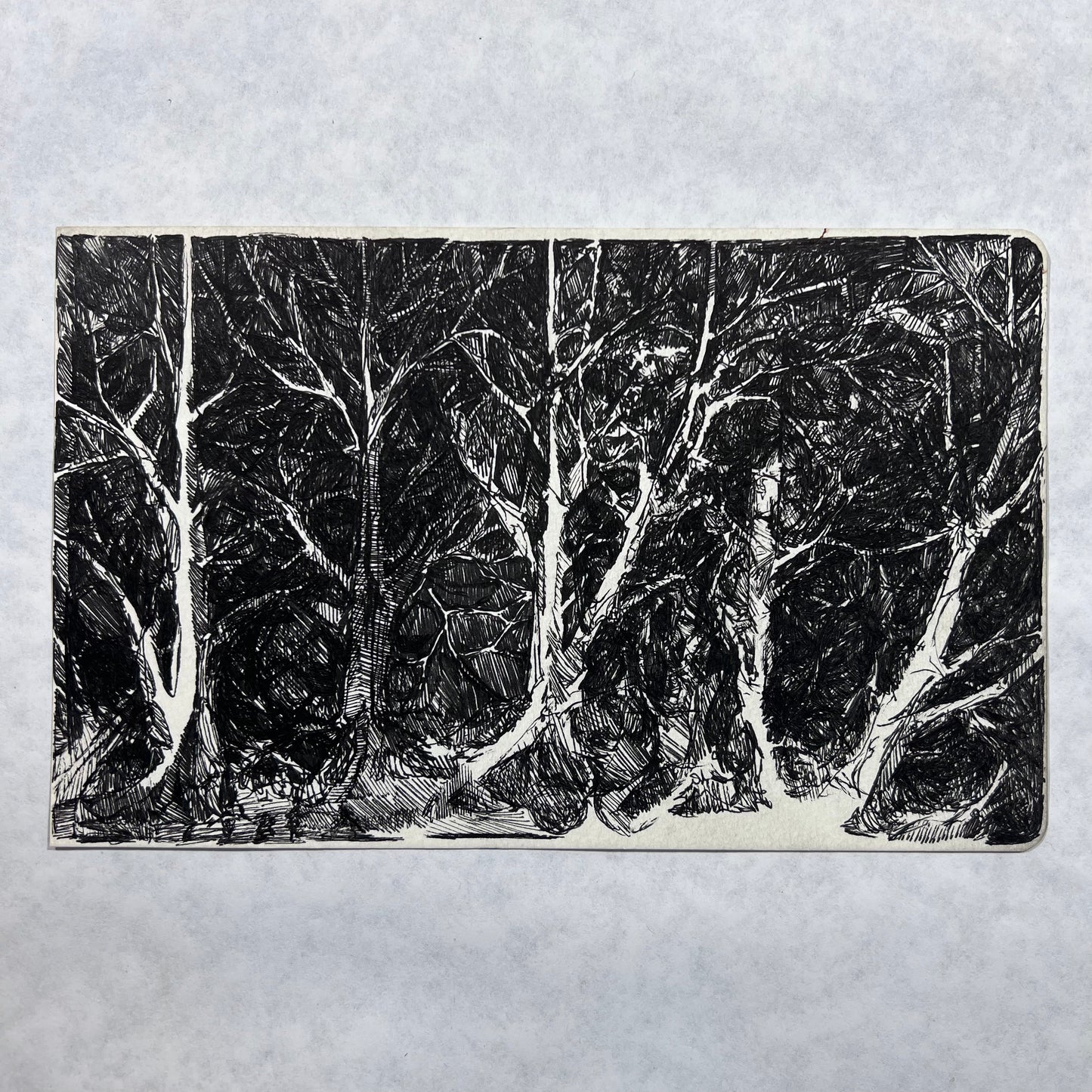 Forest Hatched Ink Illustration