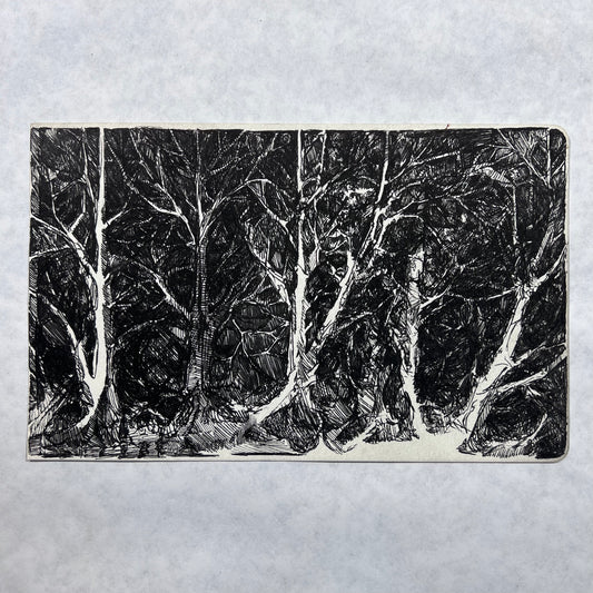 Forest Hatched Ink Illustration