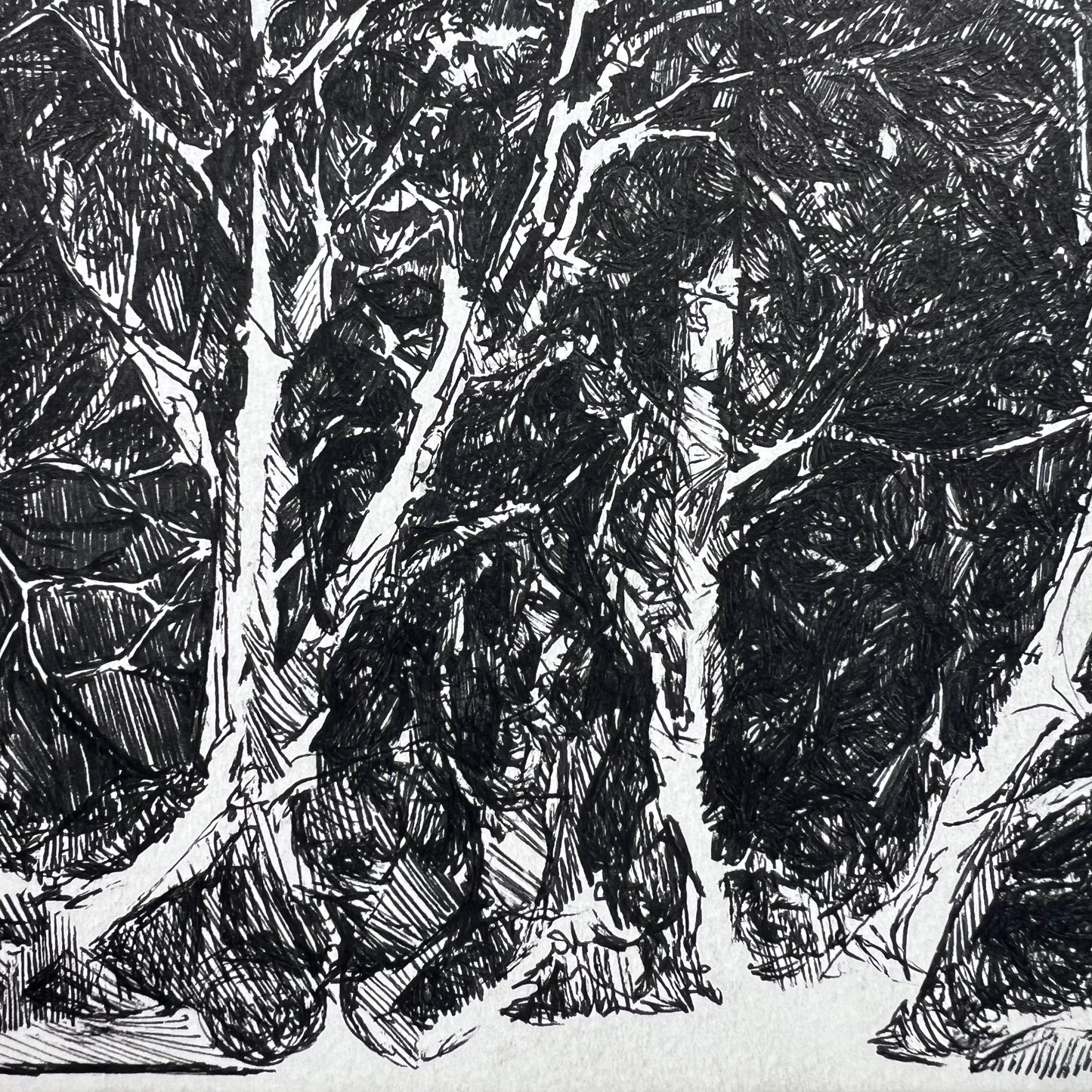 Forest Hatched Ink Illustration