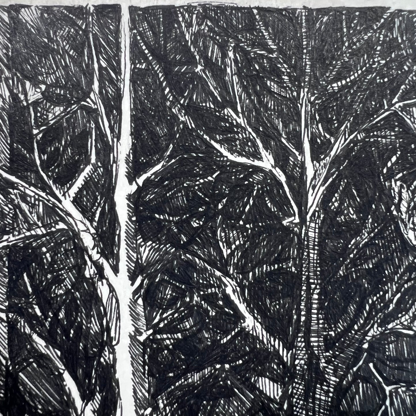 Forest Hatched Ink Illustration