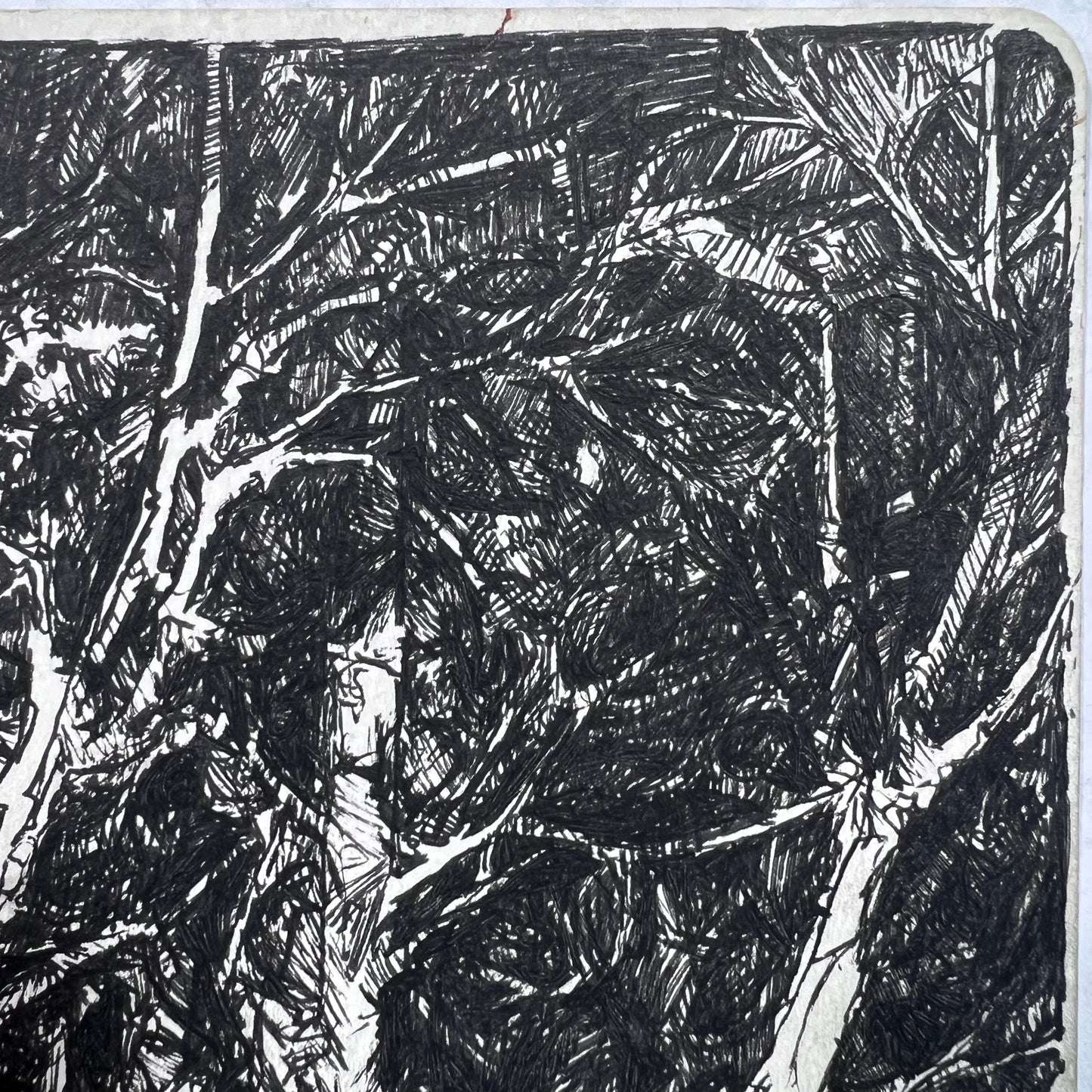 Forest Hatched Ink Illustration