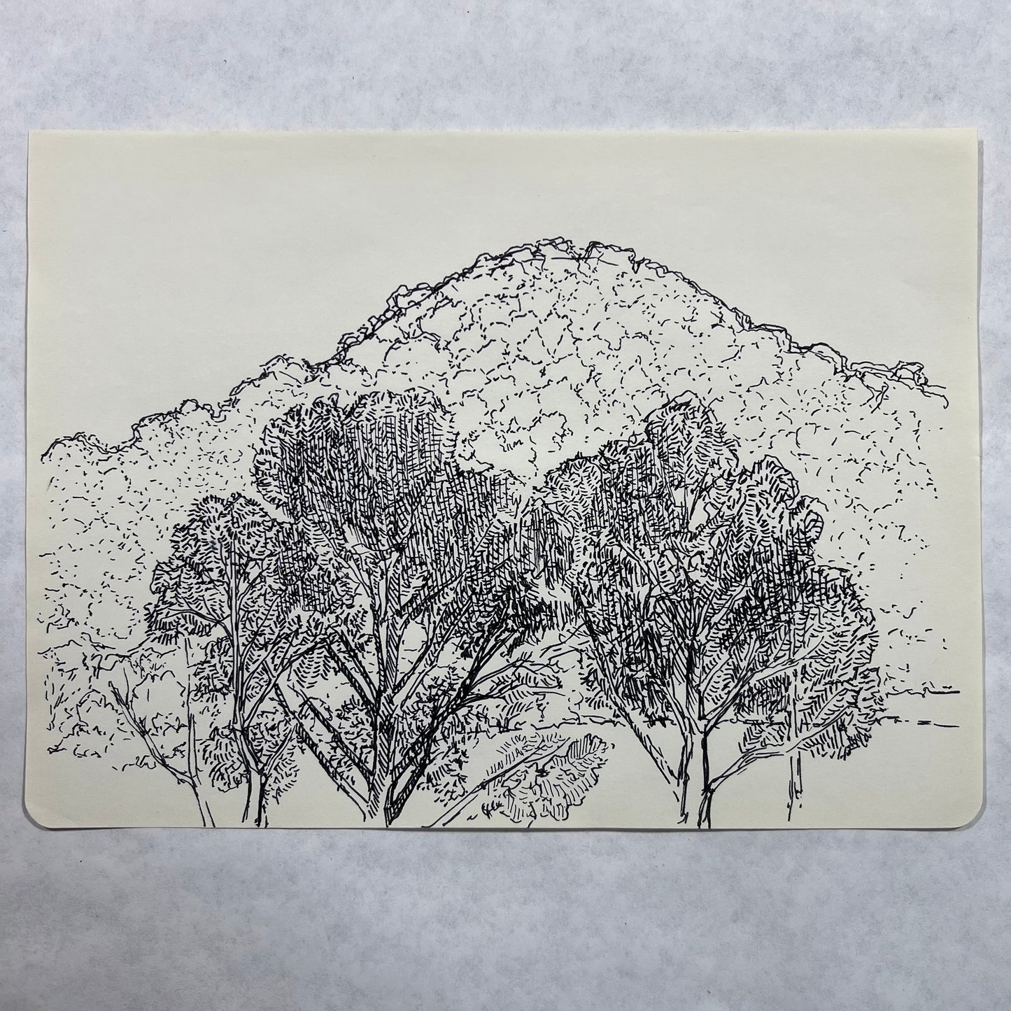 Appalachian Hills Ink Illustration