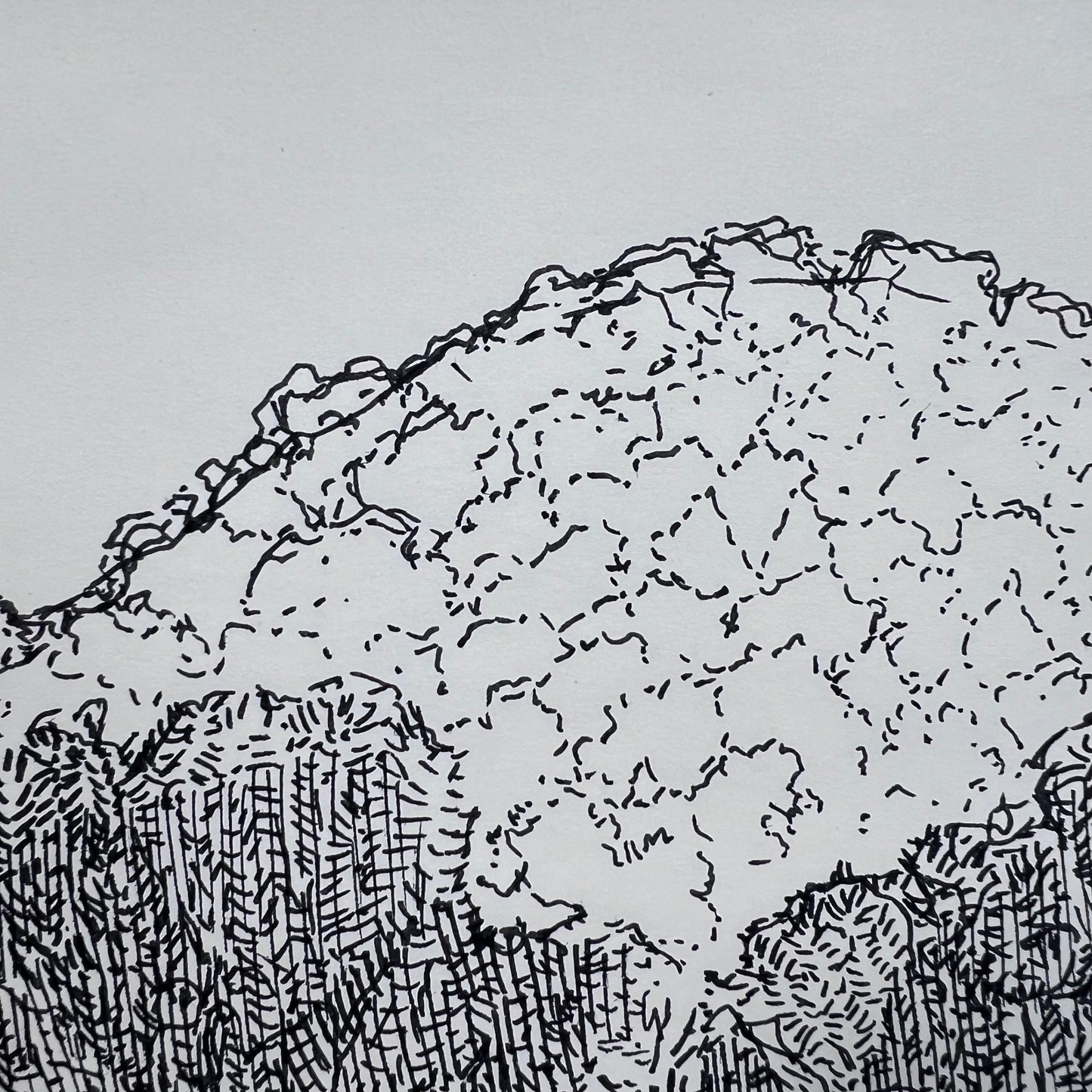 Appalachian Hills Ink Illustration