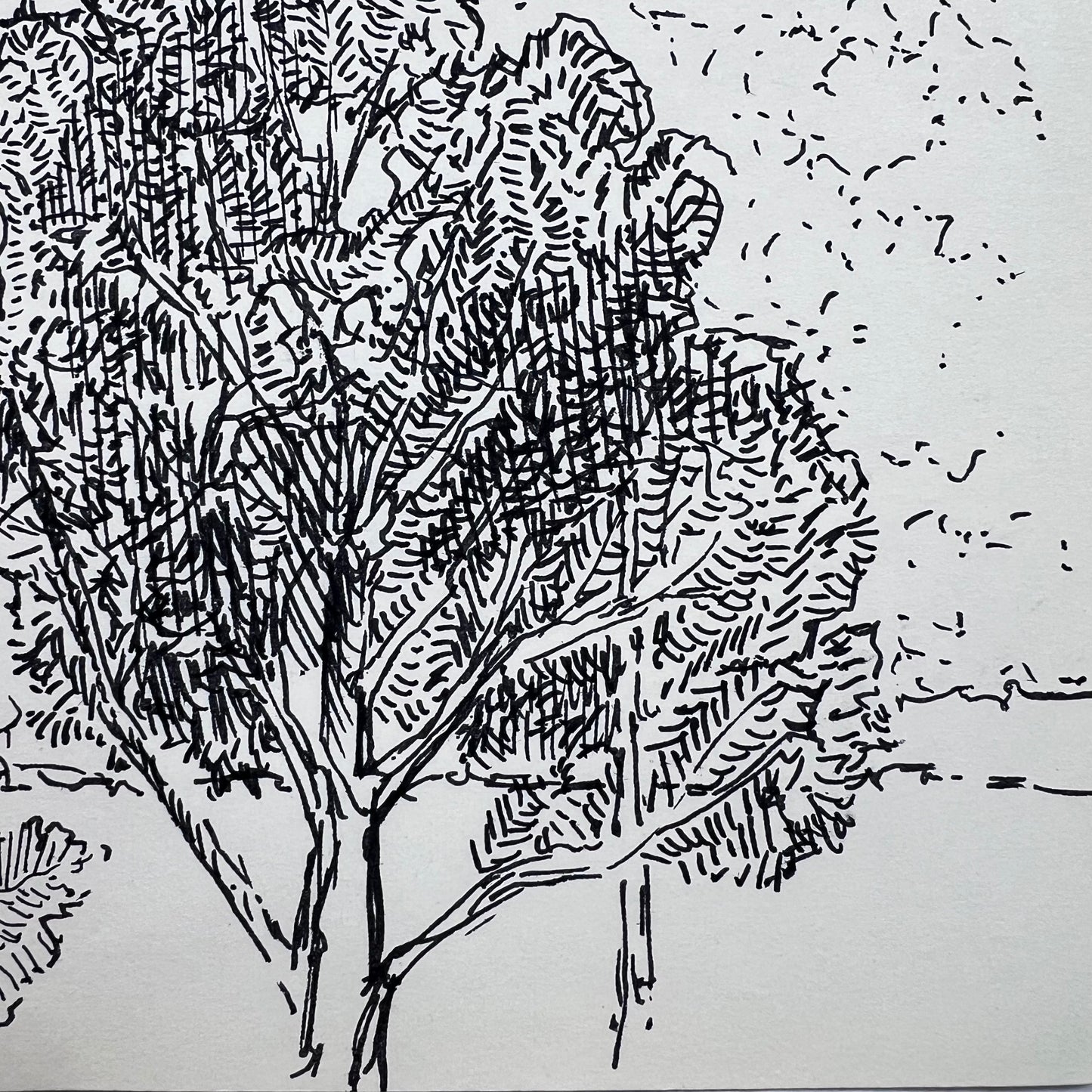 Appalachian Hills Ink Illustration