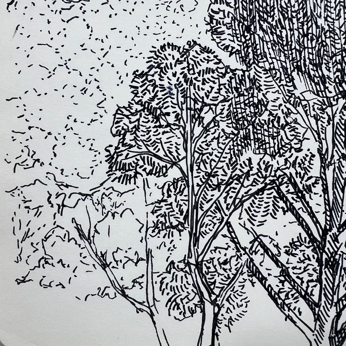 Appalachian Hills Ink Illustration