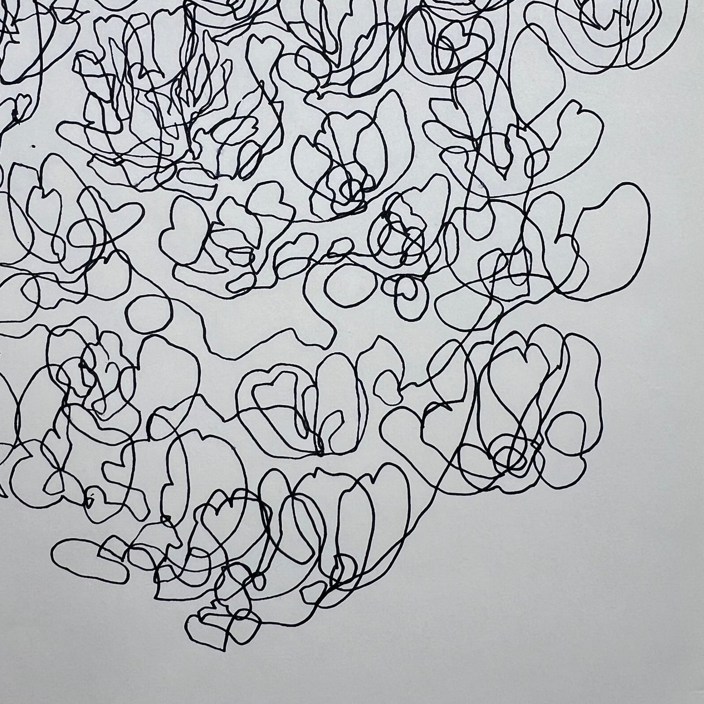 Flowing Floral Ink Illustration