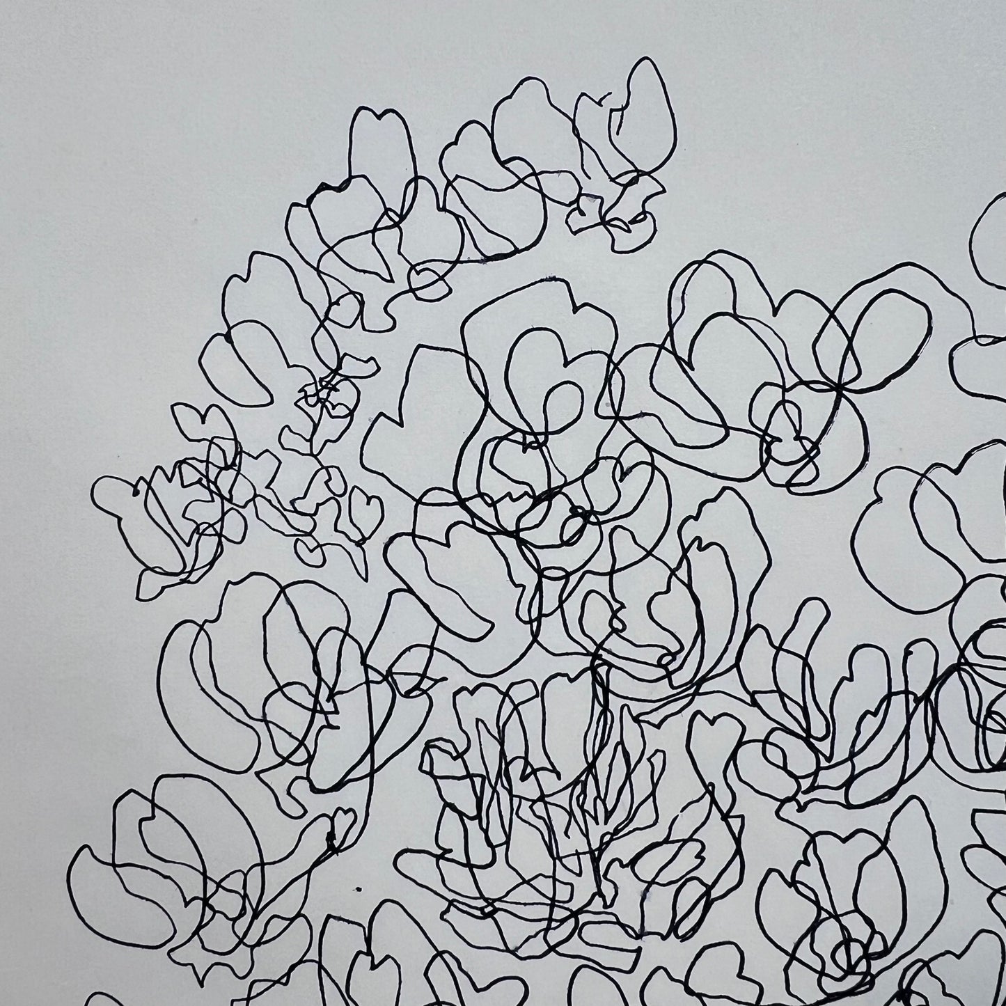 Flowing Floral Ink Illustration