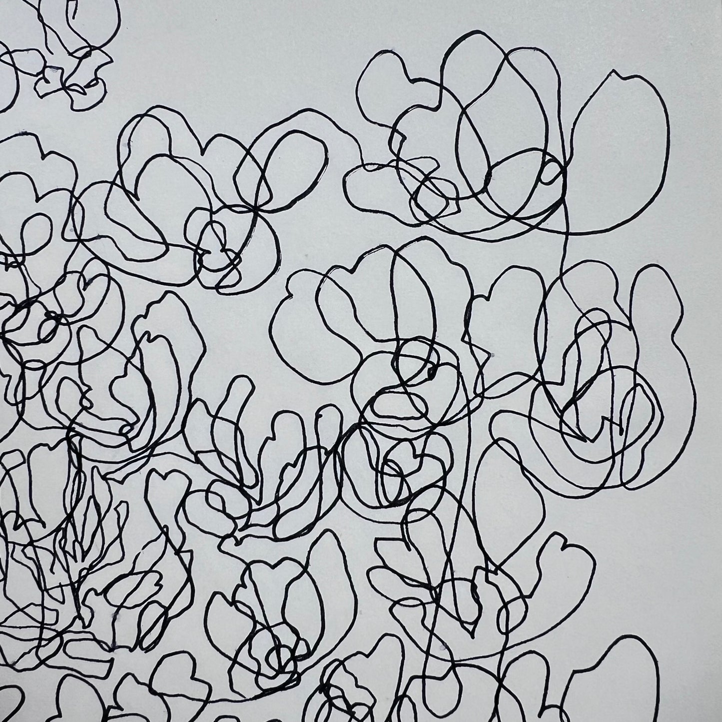 Flowing Floral Ink Illustration