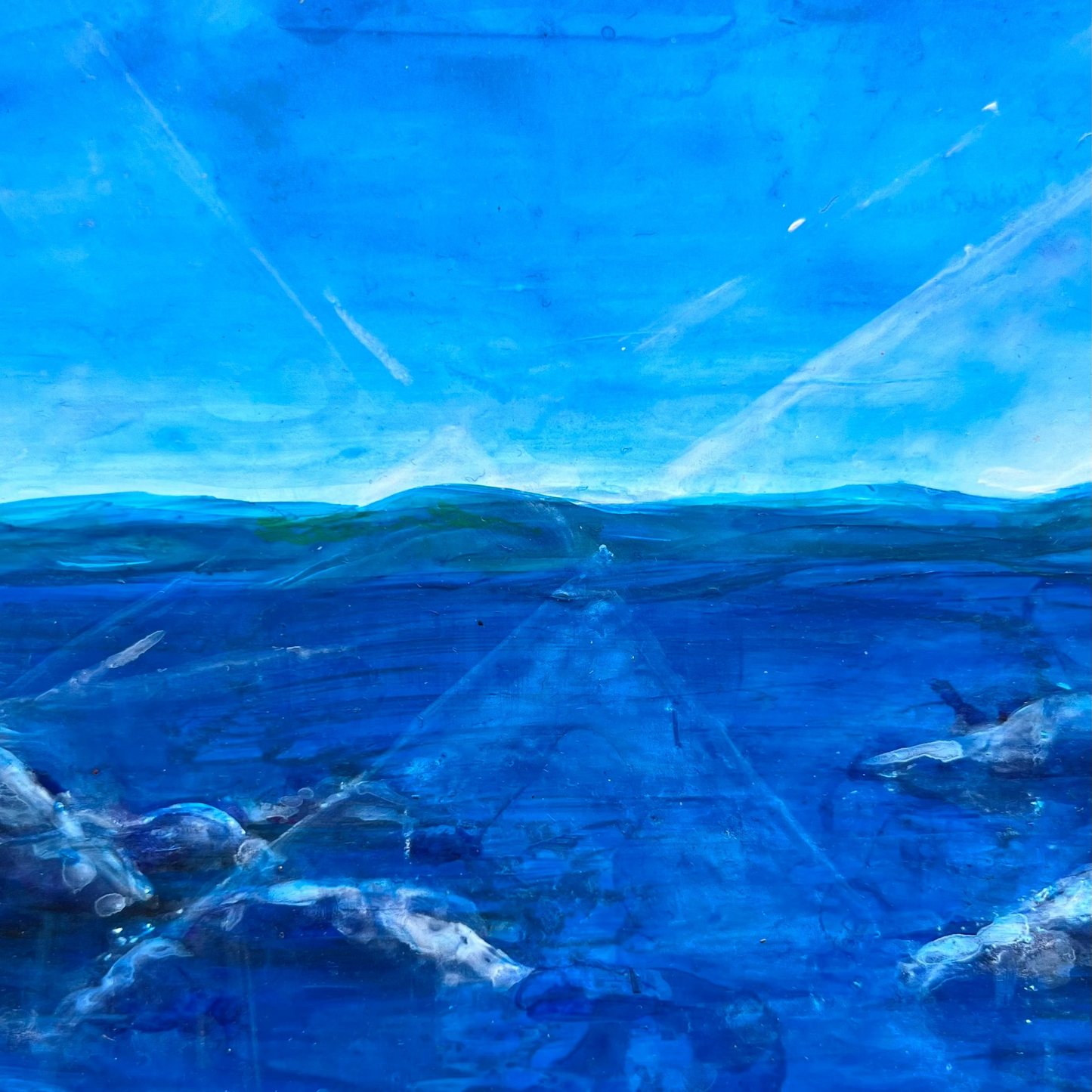 Tasmanian Coastal Landscape II