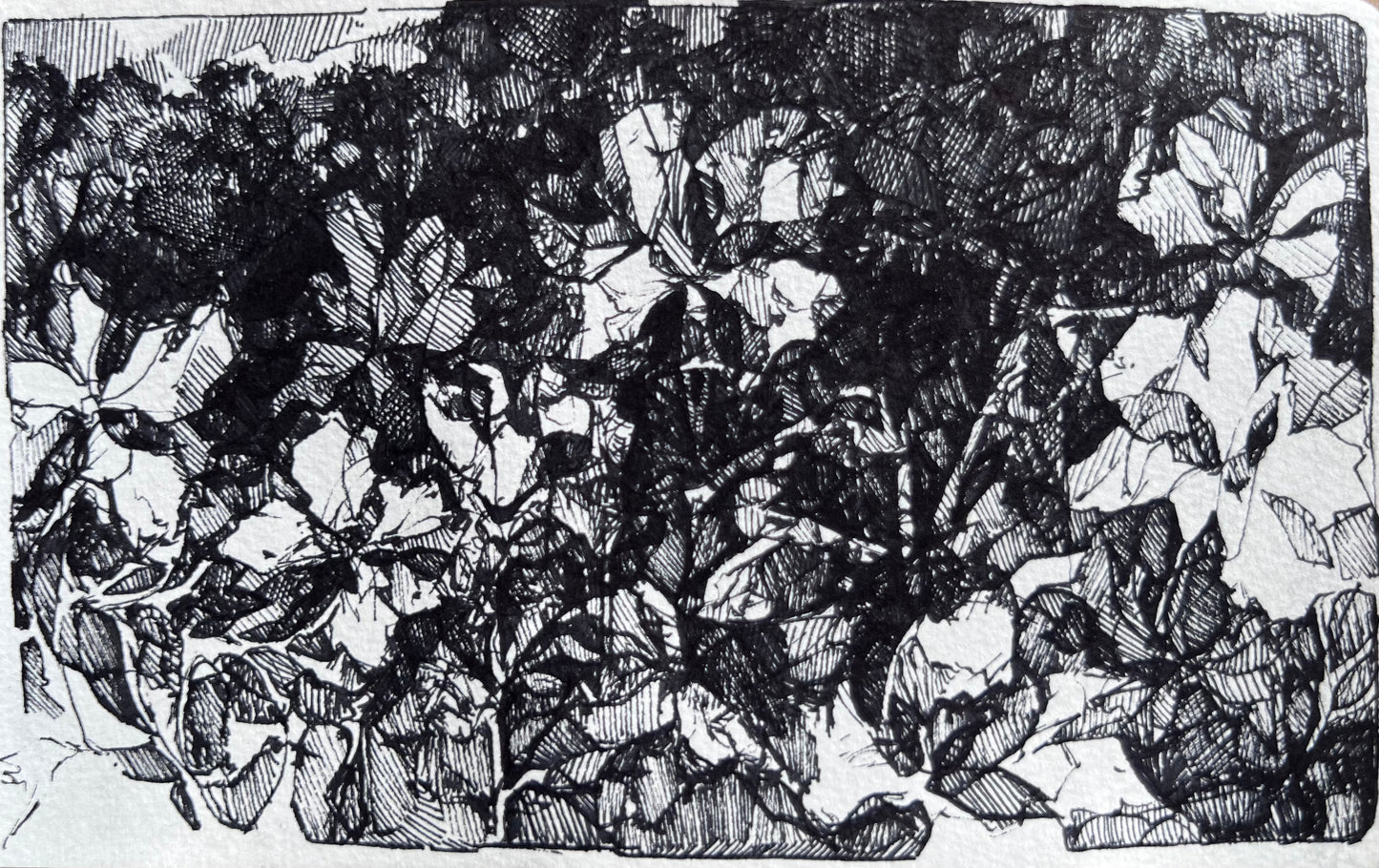 Inky Hatched Floral