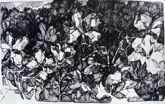 Inky Hatched Floral