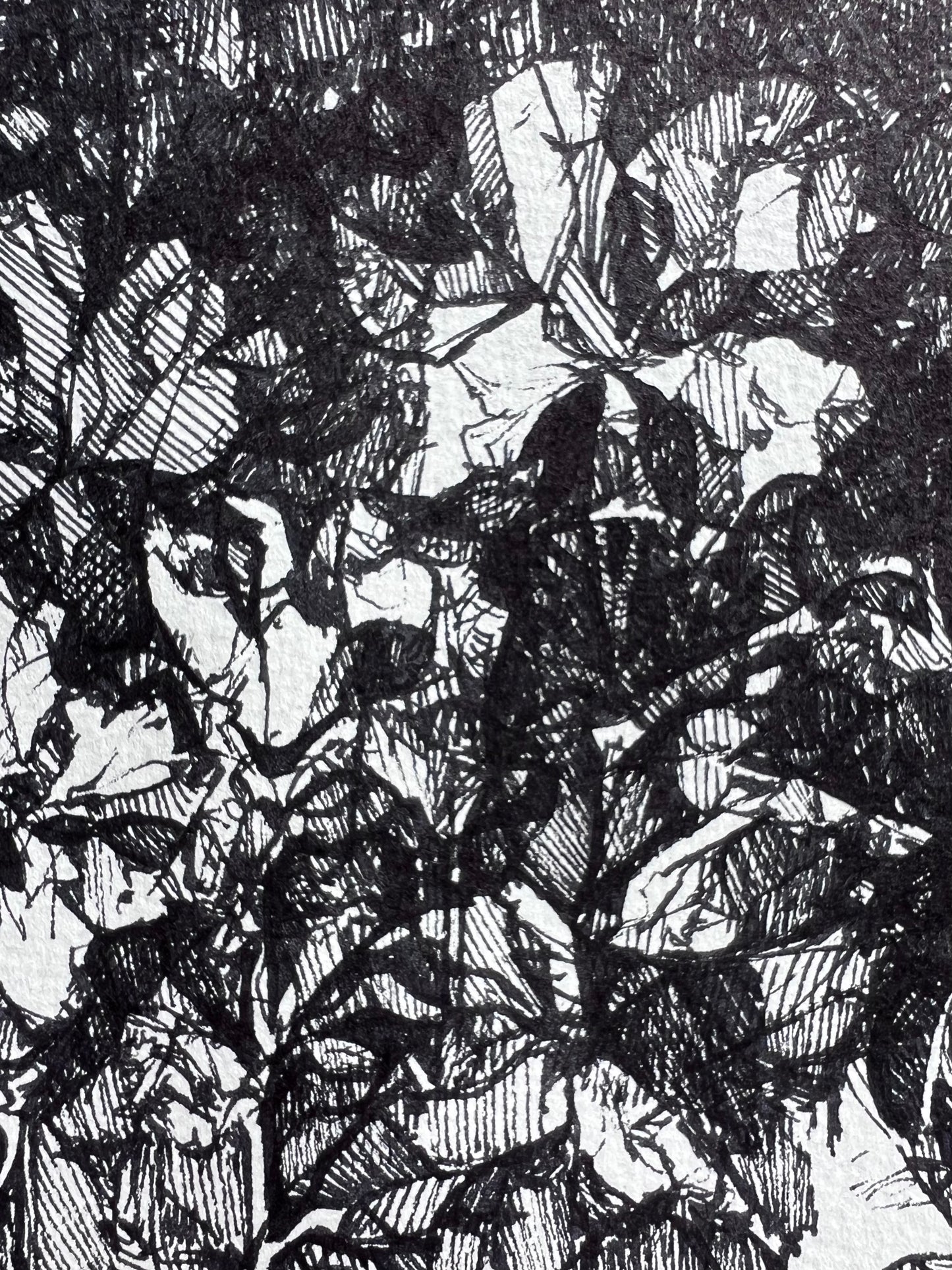 Inky Hatched Floral