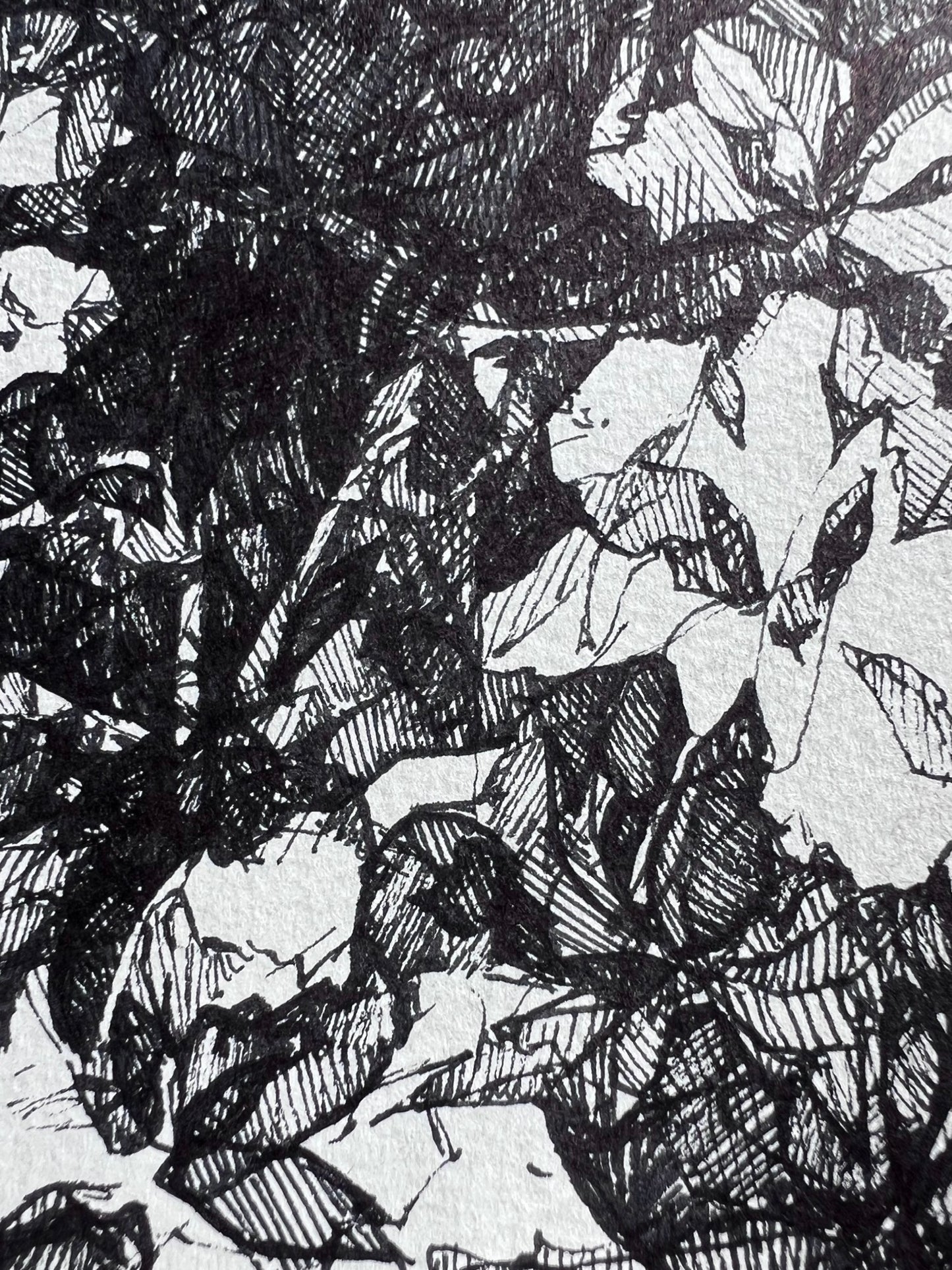 Inky Hatched Floral